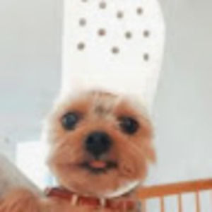 Meet your Posher, Delaney